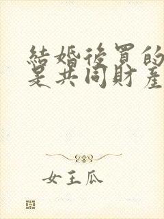 结婚后买的房子是共同财产吗