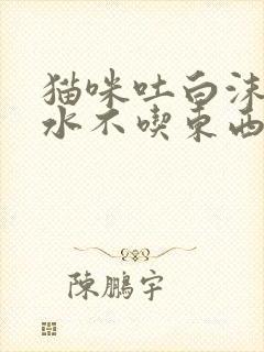 猫咪吐白沫和黄水不吃东西