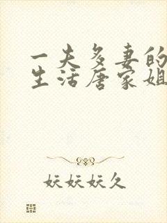 一夫多妻的幸福生活唐家姐妹小说