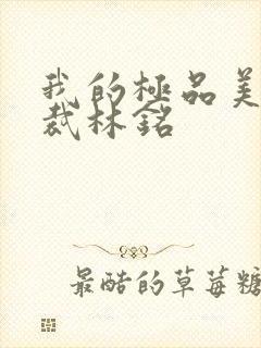 我的极品美女总裁林铭