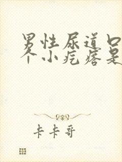 男性尿道口长了个小疙瘩是怎么回事