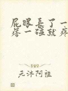 屁眼长了一个疙瘩一碰就疼