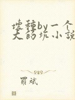 坏种by一个巨大的坑小说原著