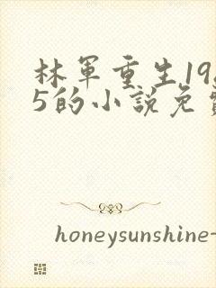 林军重生1985的小说免费阅读全文封面
