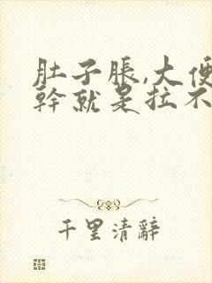 肚子胀,大便不干就是拉不出来什么原因封面