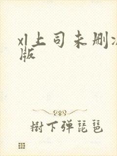 xl上司未删减版