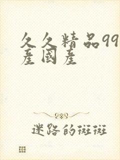 久久精品99国产国产