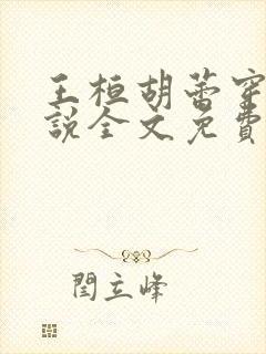 王桓胡蕾穿越小说全文免费阅读封面