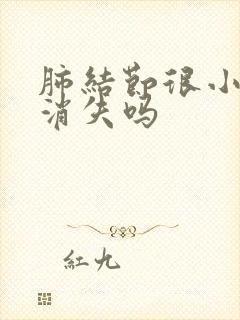 肺结节很小可以消失吗