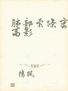 肺部索条密度增高影封面