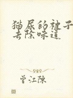 猫尿的被子怎么去除味道