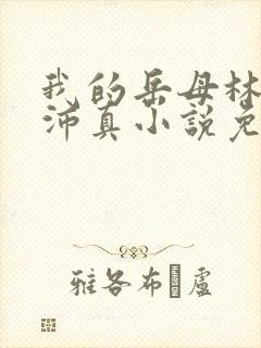 我的岳母林道苏沛真小说免费阅读封面