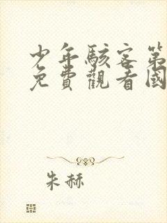 少年骇客第一季免费观看国语版