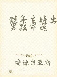 猴年亥时出生的男孩命运