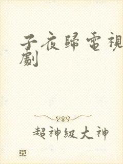 子夜归电视连续剧封面