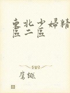 东北少妇精品一区二区