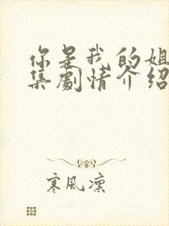 你是我的姐妹分集剧情介绍