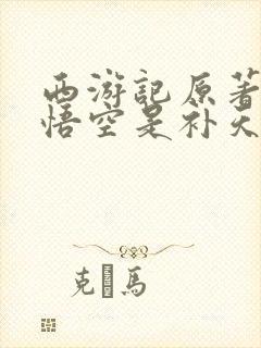 西游记原著里孙悟空是补天石吗