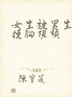 女生被男生亲吻摸胸视频