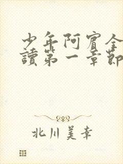 少年阿宾全文阅读第一章节房东太太封面