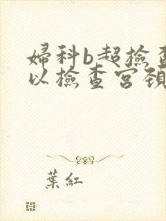 妇科b超检查可以检查宫颈吗