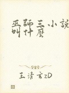 巫师三小说原著叫什么