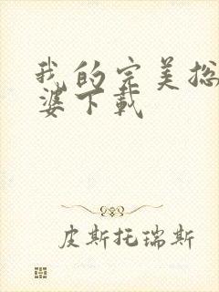 我的完美总裁老婆下载