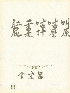 肚子咕咕叫还放屁是什么原因