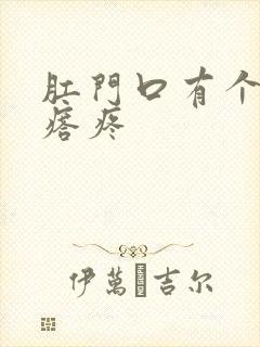 肛门口有个肉疙瘩疼