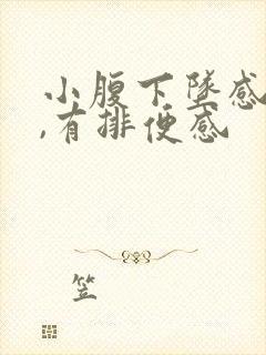 小腹下坠感胀痛,有排便感