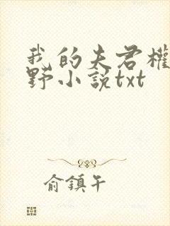 我的夫君权倾朝野小说txt