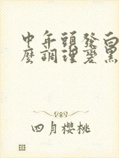 中年头发白了怎么调理变黑发