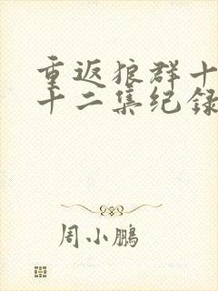 重返狼群十周年十二集纪录片完整版封面