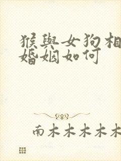 猴与女狗相配的婚姻如何