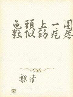 龟头上一圈小米粒似的疙瘩是怎么回事封面