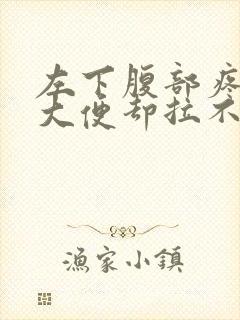 左下腹部疼痛想大便却拉不出