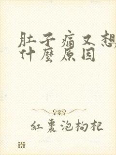 肚子痛又想吐是什么原因