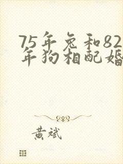 75年兔和82年狗相配婚姻如何