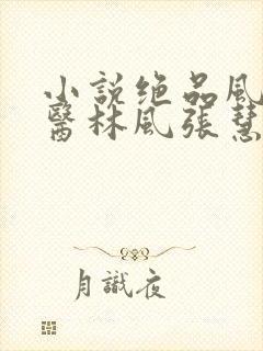 小说绝品风流狂医林风张慧免费阅读