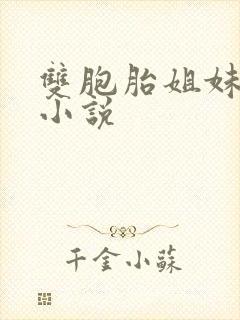 双胞胎姐妹重生小说