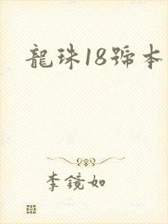 龙珠18号本子