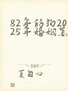 82年的狗2025年婚姻怎么样
