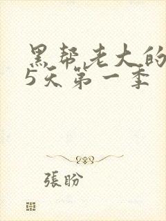 黑帮老大的365天第一季