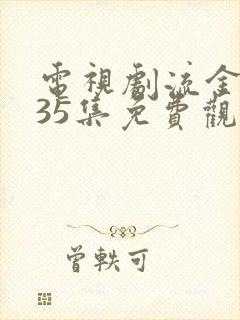 电视剧流金岁月35集免费观看