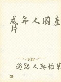 成年人国产黄色片封面