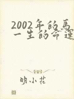 2002年的马一生的命运封面