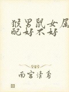 猴男鼠女属相婚配好不好封面