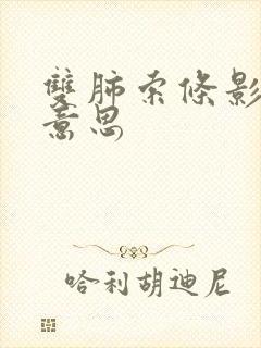 双肺索条影什么意思