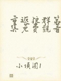 重返狼群第十二集免费观看