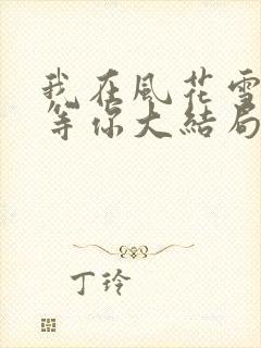 我在风花雪月中等你大结局